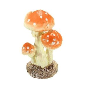 Amanita muscaria de la suerte