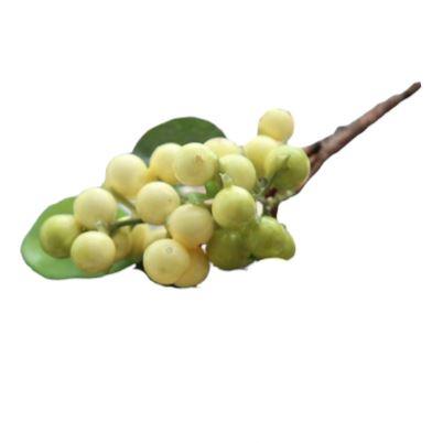 Rama de muérdago decorativa 1 Rama de muérdago decorativa