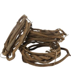 Lianas de baniano